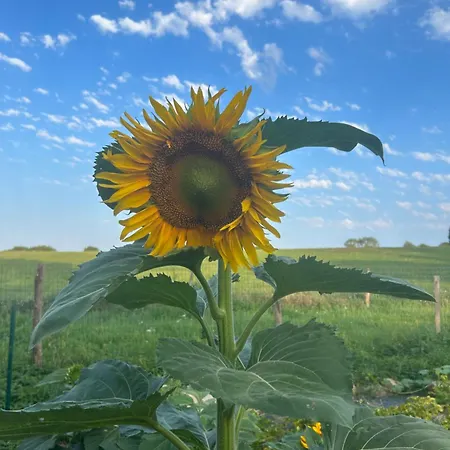 L'enquenoiulle Basse Séjour à la campagne *