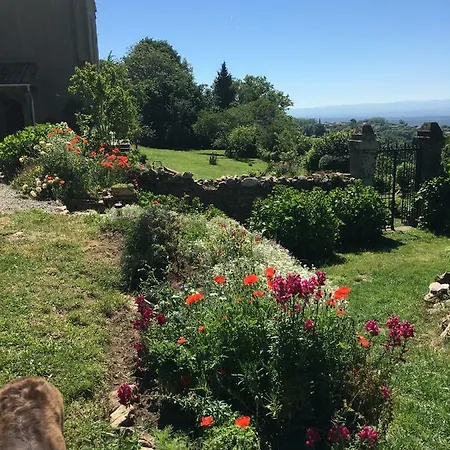 L'enquenouille Basse *